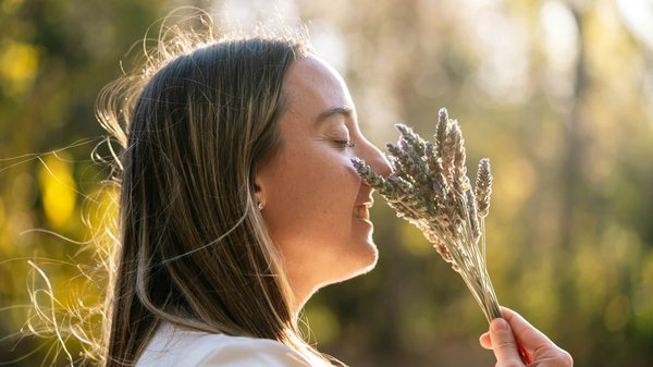 Comment utiliser la lavande pour apaiser le cuir chevelu irrité ?